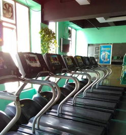 健身器材專業安裝、維修與銷售代理服務